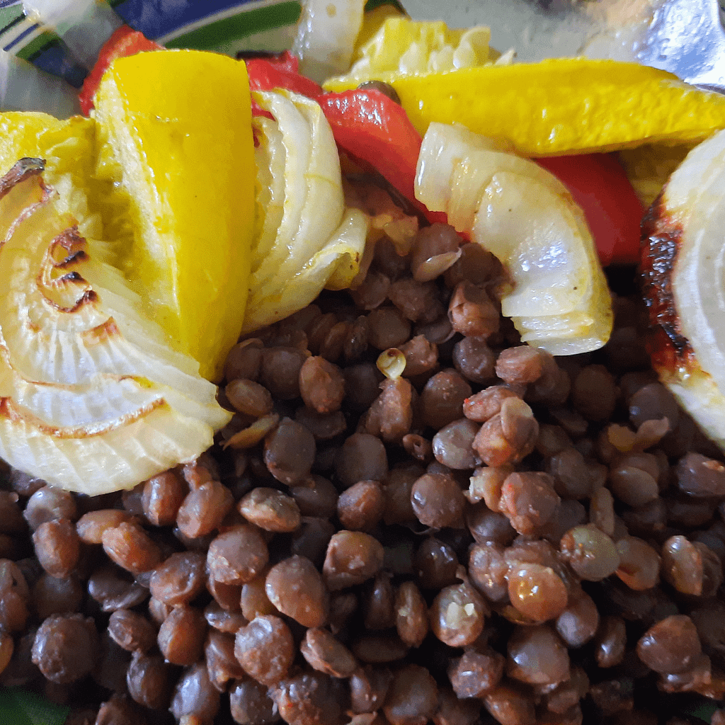 Plant-based Protein, Nutritious Protein-rich Brown Lentils